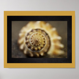 Poster Arte Tropical de Seashell Preta e Dourada