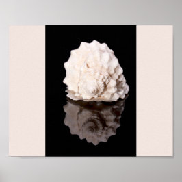 Poster Arte Tropical Imprimível de Seashell Preto e Branc