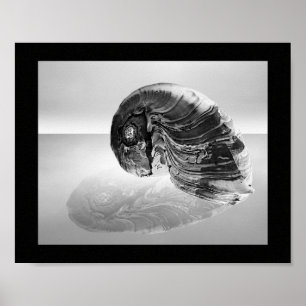 Poster Arte Tropical Imprimível de Seashell Preto e Branc