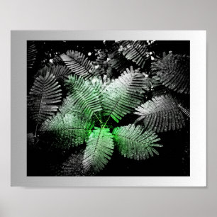 Poster Arte Tropical Verde Preta