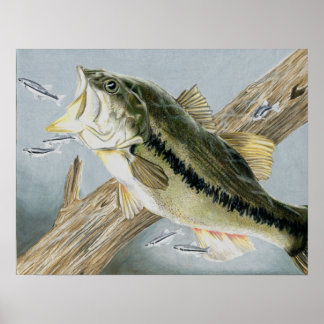 Pôster Arte vencedora Por A. Backus Grau 12