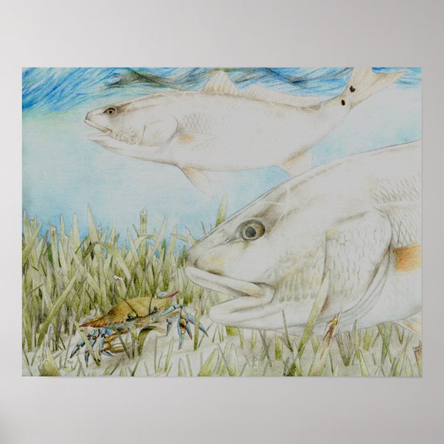 Pôster Arte vencedora por B. King Grau 8 (Frente)