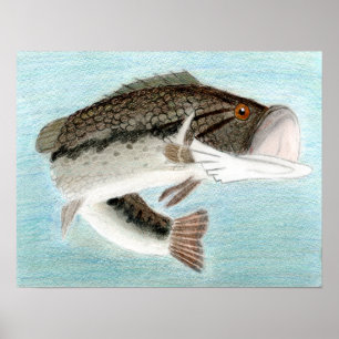 Poster Arte vencedora por D. Gillett - Grau 9