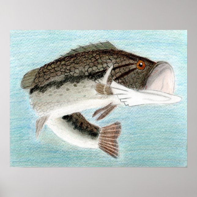 Poster Arte vencedora por D. Gillett - Grau 9 (Frente)