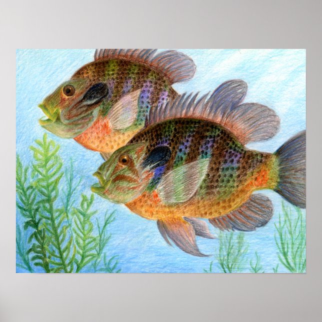 Pôster Arte vencedora por E. Jiang - Grau 6 (Frente)