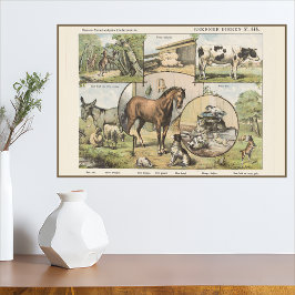 Pôster Arte Vintage de Animais de Fazenda Holandesa