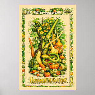 Poster Artes Botânicas da Era Vitoriana Retrô de Cabaças