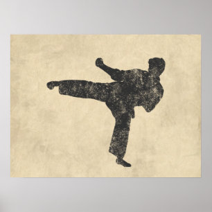 Poster Artes marciais