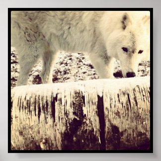 Pôster Arthur the Wolf