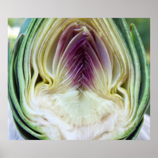 Pôster Artichoke Heart Canvas Print