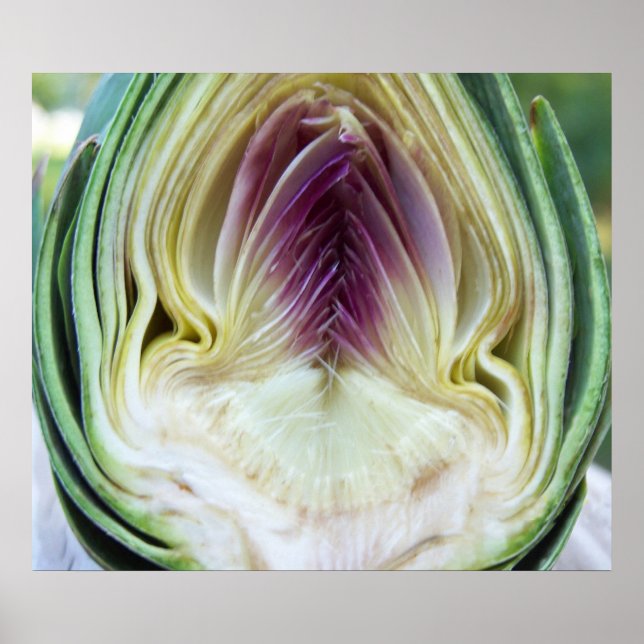 Pôster Artichoke Heart Canvas Print (Frente)