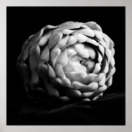 Poster Artichote Fecha Fotografia Preta e Branca