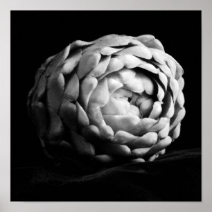 Poster Artichote Fecha Fotografia Preta e Branca
