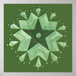 Pôster Artistic Crop Circle