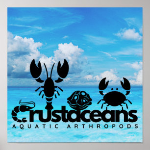 Poster Artrópodes Aquáticos Crustáceos