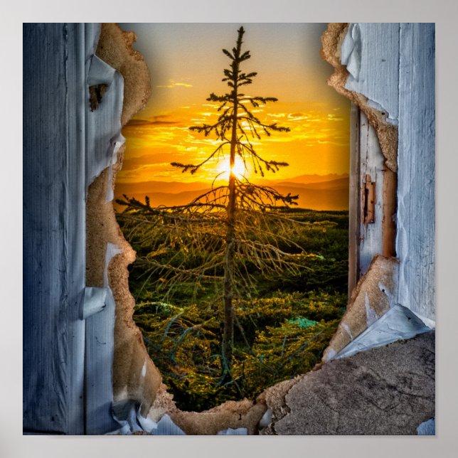 Poster Árvore (Frente)