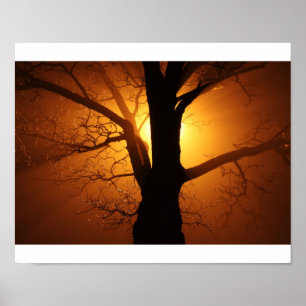 Pôster Árvore
