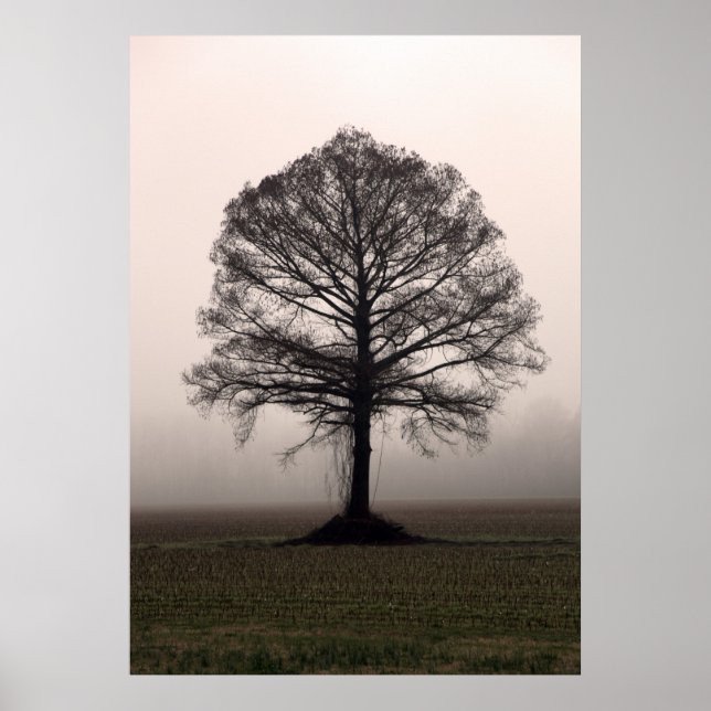 Pôster Árvore (Frente)