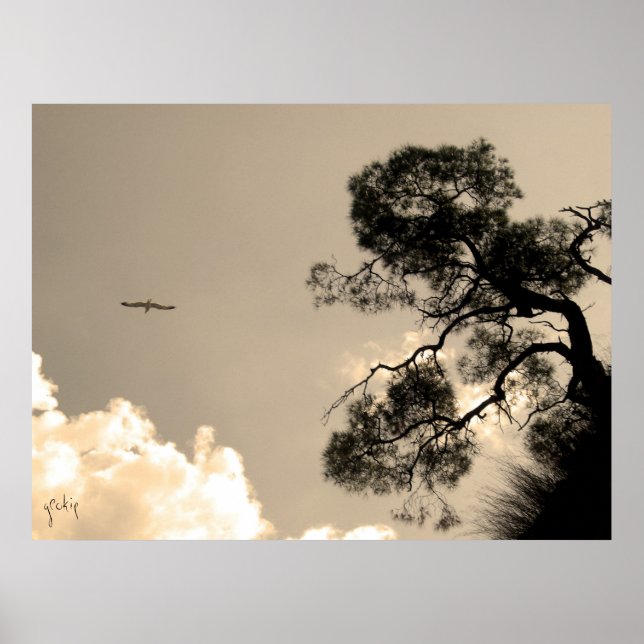 Pôster árvore (Frente)