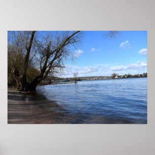 Poster Árvore antiga no banco do rio por Nierstein, na A