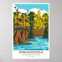 Árvore Baldcypress da Floresta Nacional de Apalach