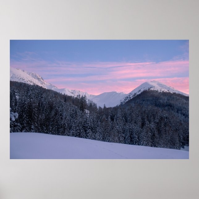 POSTER ÁRVORE BARE (Frente)