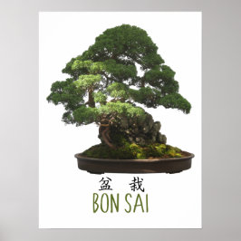 Poster Árvore Bonsai japonesa e símbolo