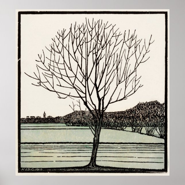 Poster Árvore careca (Frente)