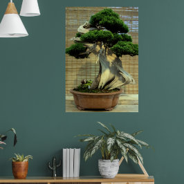 Poster Árvore Chinesa de Bonsai