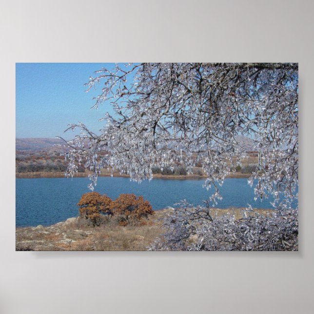 Pôster Árvore Congelada (Frente)