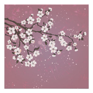 Pôster Árvore cor-de-rosa da flor de cerejeira