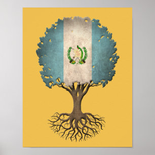 Pôster Árvore da bandeira de vida guatemalteca