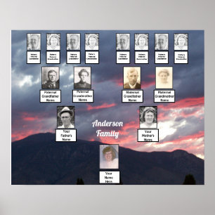 Poster Árvore da Família de Fotos Púrpura Pink Sunset