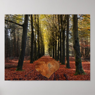 Poster árvore da floresta em queda ramal estrada caminho