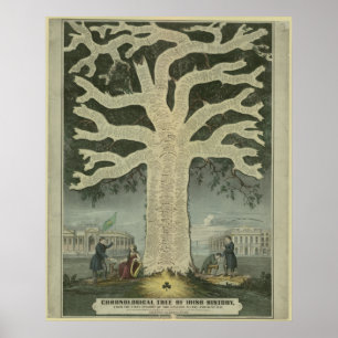 Pôster Árvore da história irlandesa