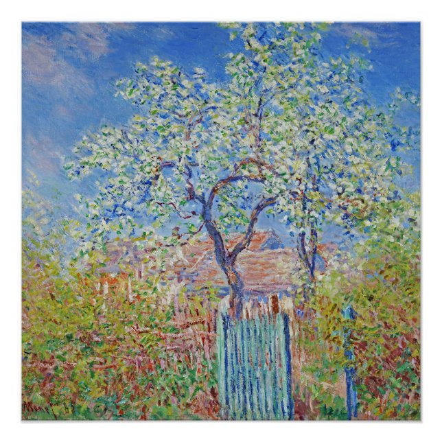 Pôster Árvore da pera na Flor - Claude Monet (Frente)