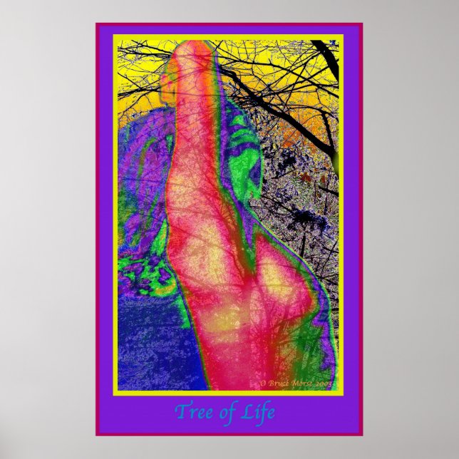 Pôster Árvore da Vida (Frente)