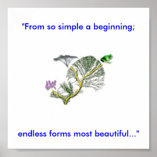 Pôster Árvore da Vida