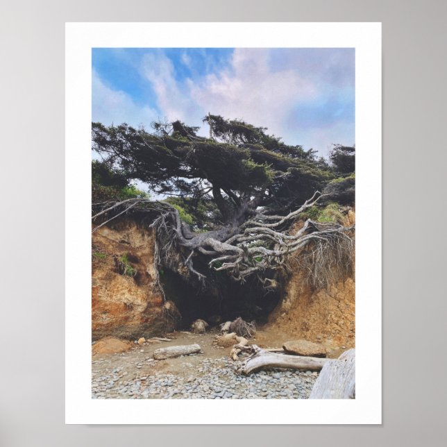 Poster Árvore da Vida (Frente)