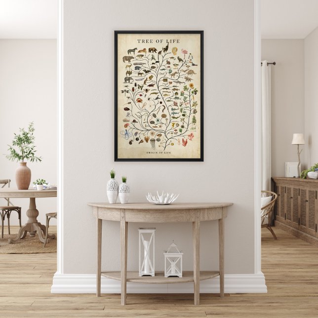 Poster Árvore da Vida (Criador carregado)