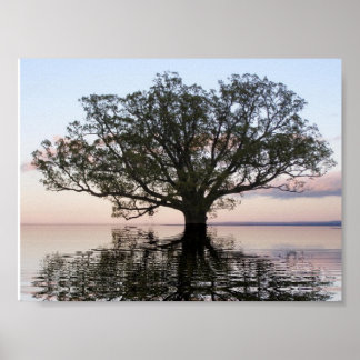 Poster Árvore da Vida (Reflexões)