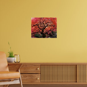 Poster Árvore de bordo japonês flamejante e retorcida