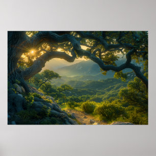 Poster Árvore de Carvalho Antigo no nascer do Sol