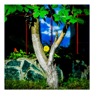 Pôster Árvore de castanha