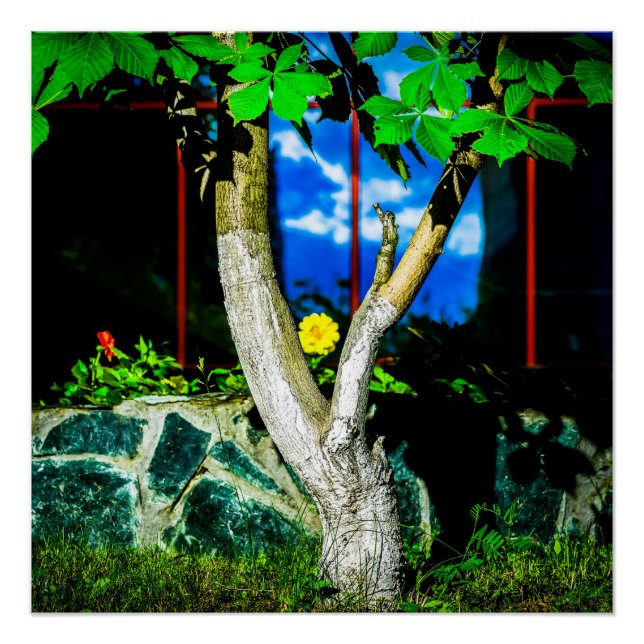 Pôster Árvore de castanha (Frente)