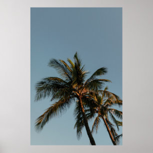 Poster Árvore de coco alto