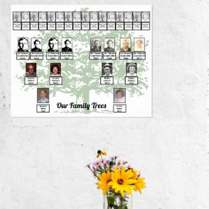 Poster Árvore De Folheto Verde Claro Desenhando Duas Árvo