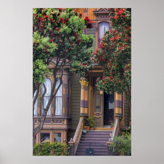 Pôster Árvore de Goma Flor Vermelha Frames Vitorianos (Frente)