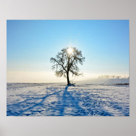 Poster Árvore de inverno - -