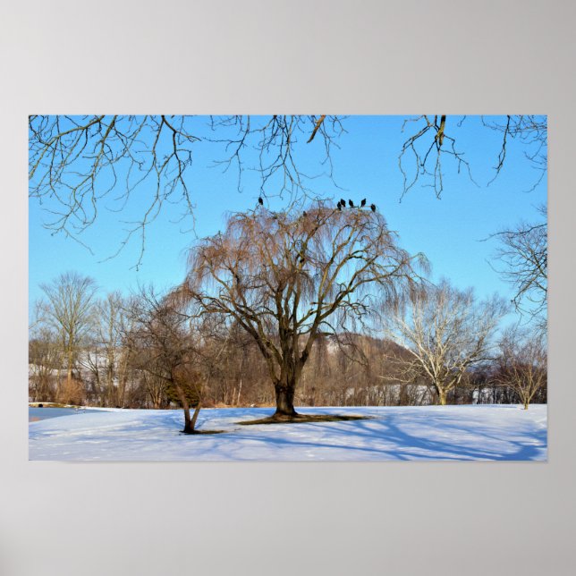 Poster Árvore de inverno com aves (Frente)
